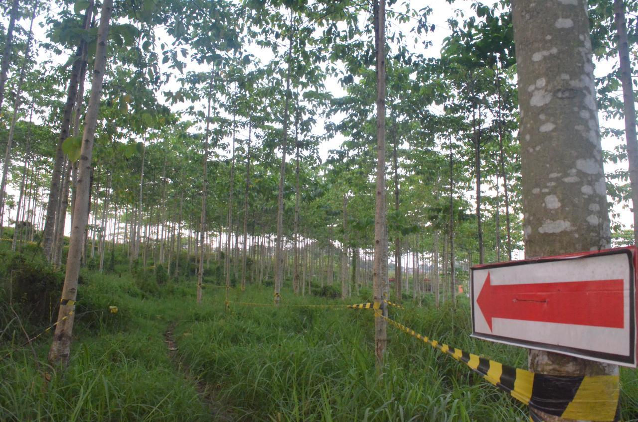 Ibis Budget Cikarang Festival Bekasi Exterior photo